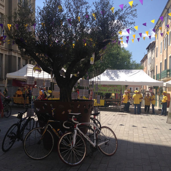 Vélo contre un arbre devant la mairie de Privas